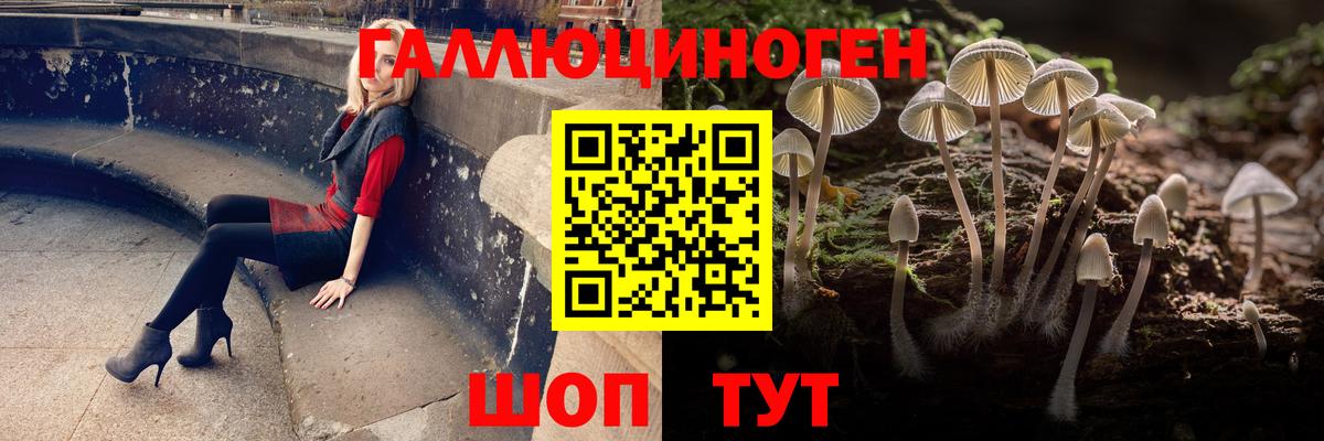 Псилоцибиновые грибы Psilocybe  Вход с VPN  Ноябрьск 